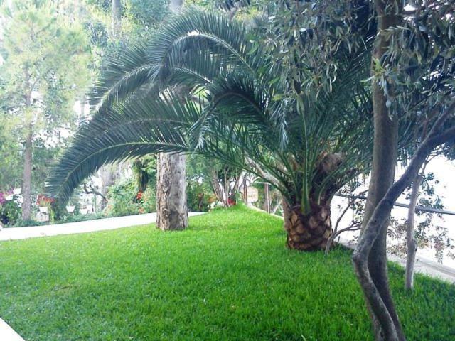 Tzeni Villa Ligia Exterior foto